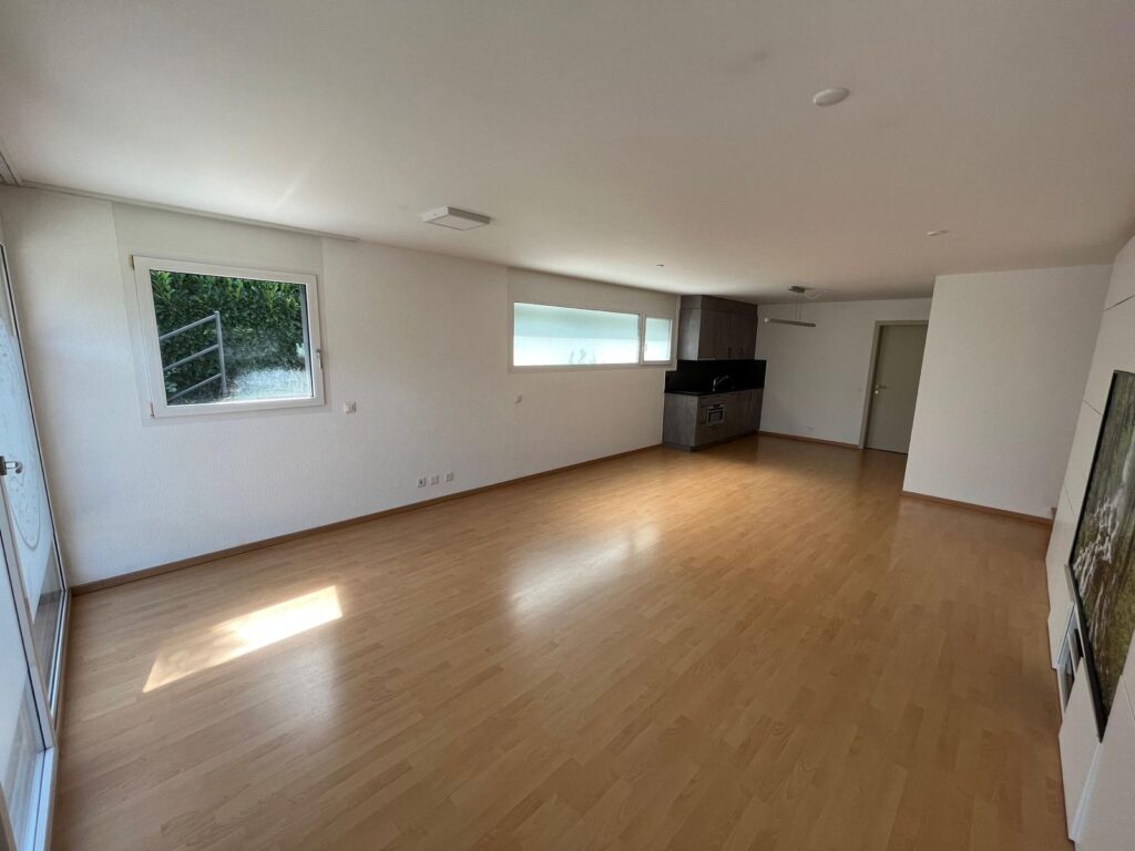 Moderne studio 2 pièces de 60 m2 – Champ-Romain 7, Lossy Lossy 13 1024x768