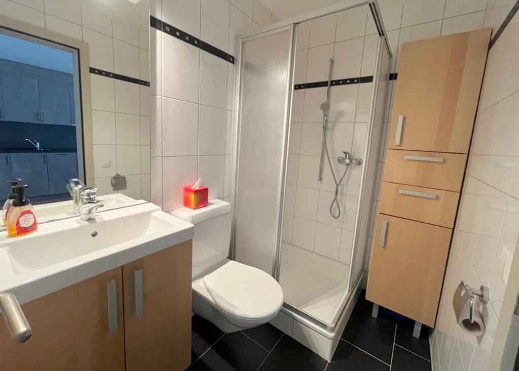 Moderne studio 2 pièces de 60 m2 – Champ-Romain 7, Lossy Lossy 3 1024x733